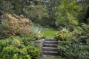 Pine Meadow Gardens Inc – Landscape design